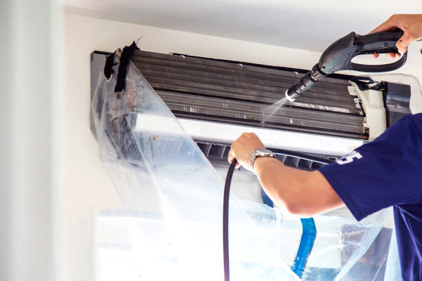 Best Affordable Duct Cleaning Services  in Albion, MI