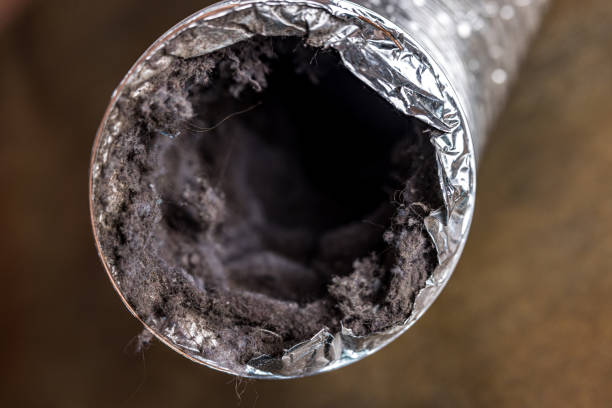 Best Ventilation Cleaning Services  in Albion, MI
