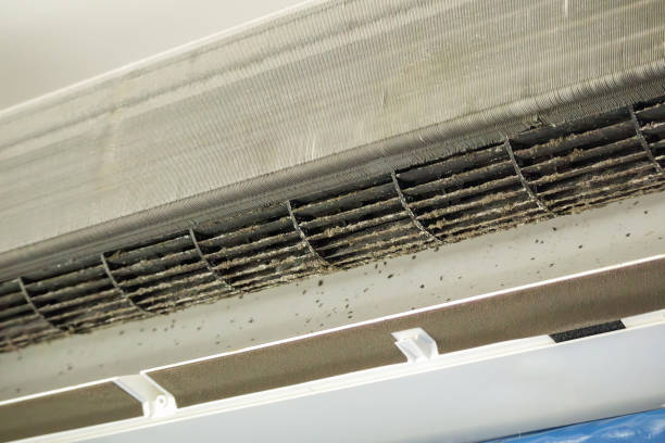 Best Local Air Duct Cleaning Services  in Albion, MI