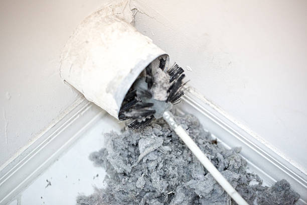 Best Commercial Air Duct Cleaning  in Albion, MI