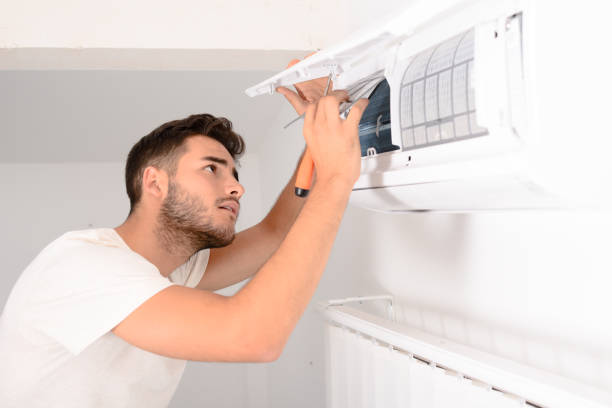 Best Home Air Vent Cleaning  in Albion, MI